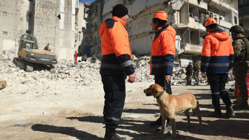 Armenian rescuers use a dog in search in rescue operations after the earthquake in Aleppo, Syria, February 2023.