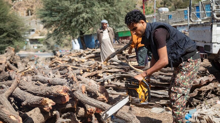 Environmental expert Anwar al-Shazli says more than six million trees have been felled since the start of Yemen's war 