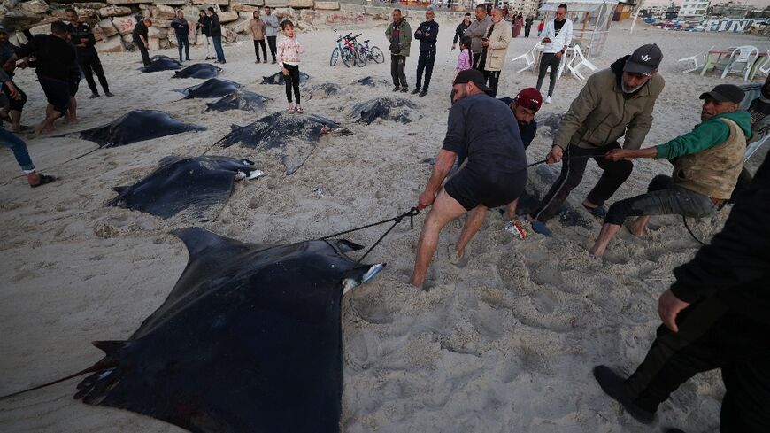 Fishing is a major commercial activity in Gaza, which has been under an Israeli-led blockade since 2007