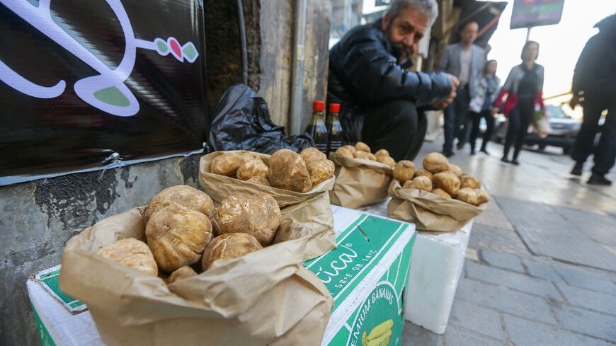 Many Syrians forage for desert truffles when they are in season between February and April, hoping to sell the delicacy for high prices to help make ends meet in the war-torn country