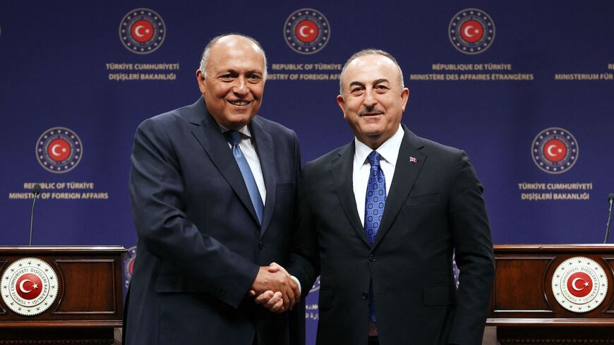 Turkish Foreign Affairs Minister Mevlut Cavusoglu (R) and Egyptian Foreign Affairs Minister Sameh Shoukry.