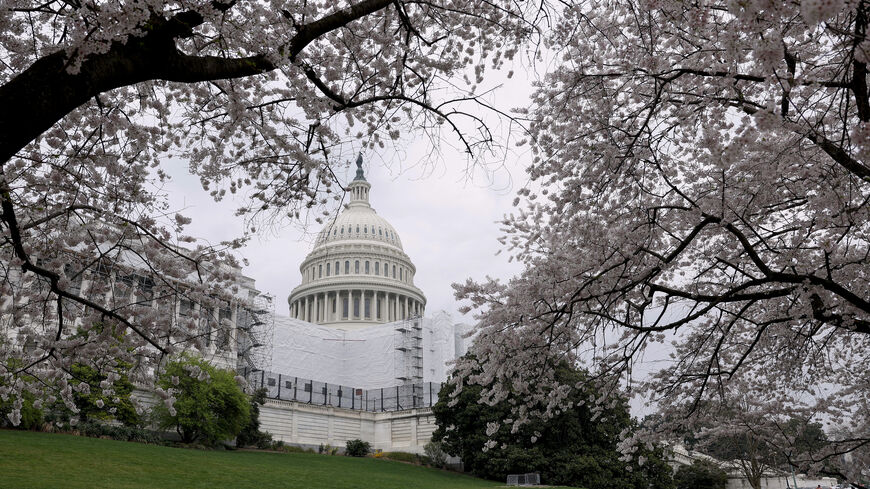 Cherry blossoms bloom on the grounds of the U.S. Capitol on March 27, 2023 in Washington, DC. 