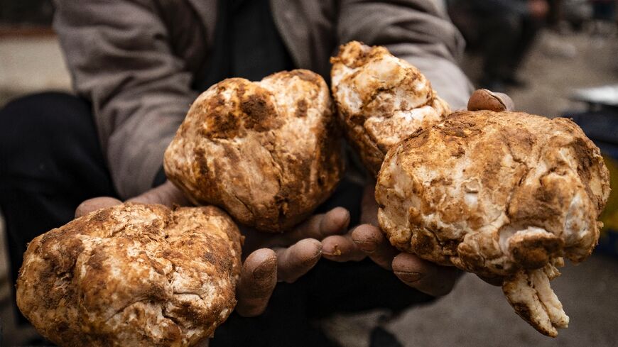 Syria's desert truffles fetch high prices in a country battered by 12 years of war and a crushing economic crisis
