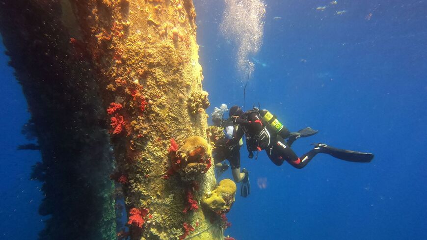 An Israeli Nature and Parks Authority employee dives in the Red Sea to remove corals that grew on columns supporting the Europe Asia Pipeline.