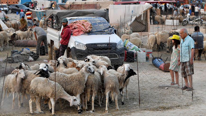 People are seen picking out sheep at a livestock market, in Tunis' Ariana region, ahead of the Muslim festival Eid al-Adha, amid an increase in livestock prices, June 21, 2023.