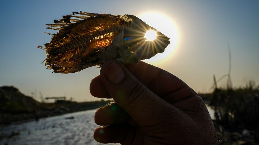 A man holds up a skeleton of a fish in a dried out marsh in Chibayish, Iraq