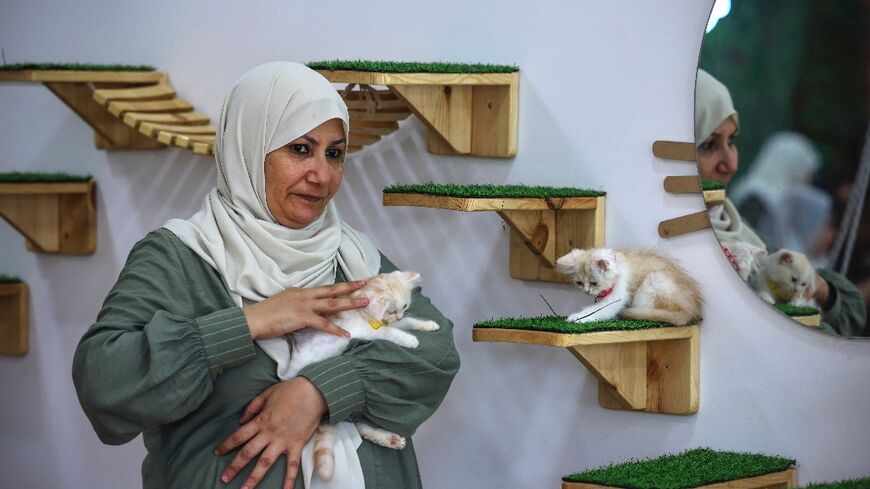 'Cats, for me, are a refuge that relieves me of psychological stress,' says Gaza cafe owner Nehma Maabad
