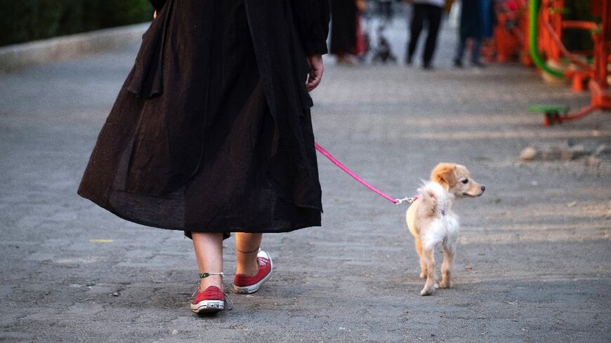 Many Iranians have embraced the trend of pet ownership