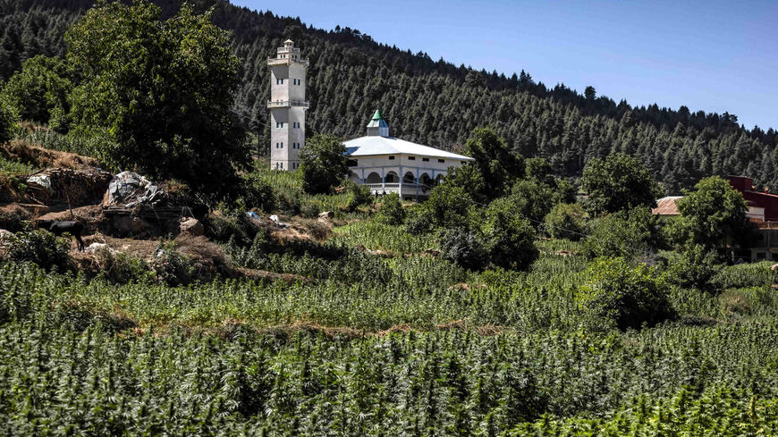 A cannabis field is seen in the village of Azila in Ketama region at the foot of the marginalized and underdeveloped mountainous region of Rif, Morocco, Sept. 16, 2022.