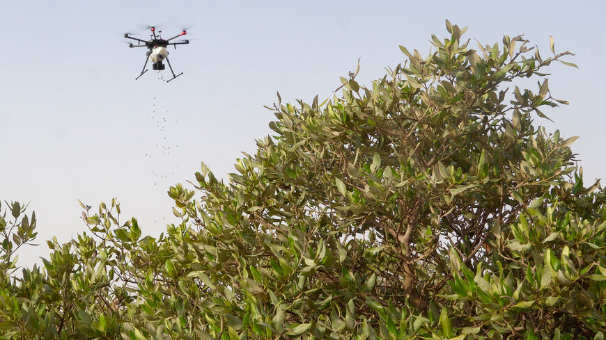 Drones of Abu Dhabi mangroves