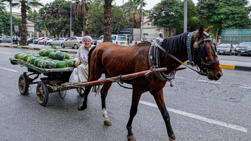 A vendor selling watermelons steers his horse-drawn cart along a street in Cairo on October 2, 2023. (Photo by Khaled DESOUKI / AFP) (Photo by KHALED DESOUKI/AFP via Getty Images)
