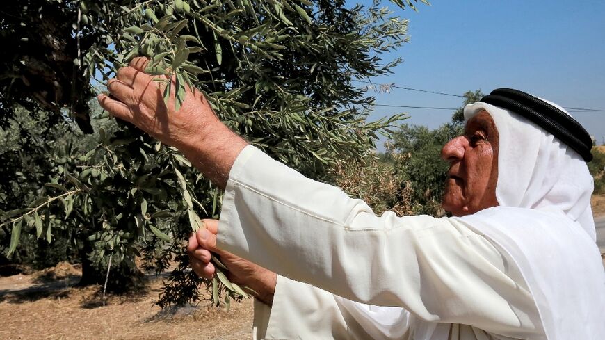 "These trees represent the history of Jordan," says Ali Salih Atta, 84