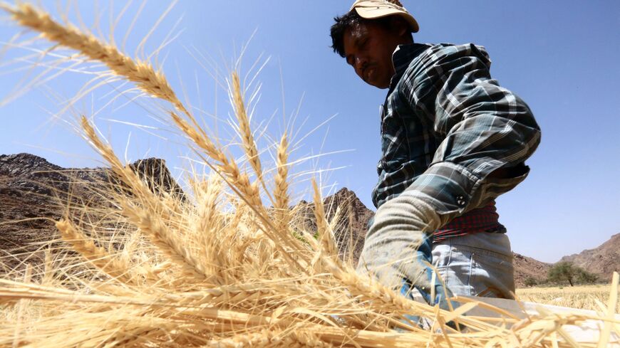 An Asian farmer harvests wheat in a field in the Tabuk region, some 1500 kilometers northwest of the Saudi capital Riyadh, on April 7, 2016. Agriculture remains as problematic economic activity due to the high cost of the suppling water in a desert kingdom suffering shortage of water sources. (Photo by MOHAMED HWAITY / AFP) (Photo by MOHAMED HWAITY/AFP via Getty Images)