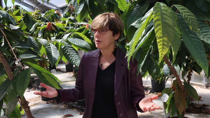 Saving chocolate: Israel scientist Ellen Graber 