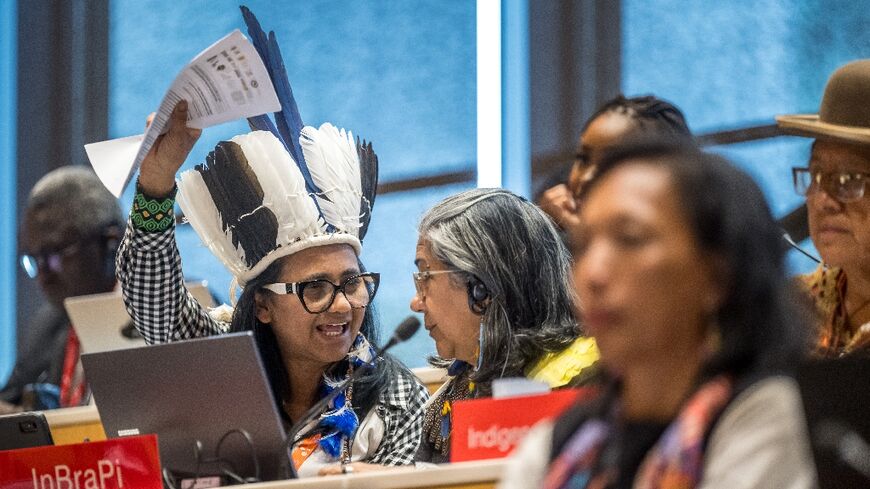 The treaty was agreed at the UN's WIPO agency