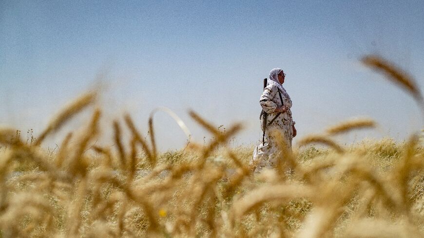 An armed Syrian Kurdish woman volunteer keeps watch in a wheatfield