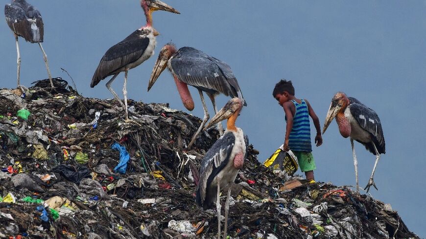 India was the country with the largest number of people in extreme poverty, which impacts 234 million of its 1.4 billion population, according to the report