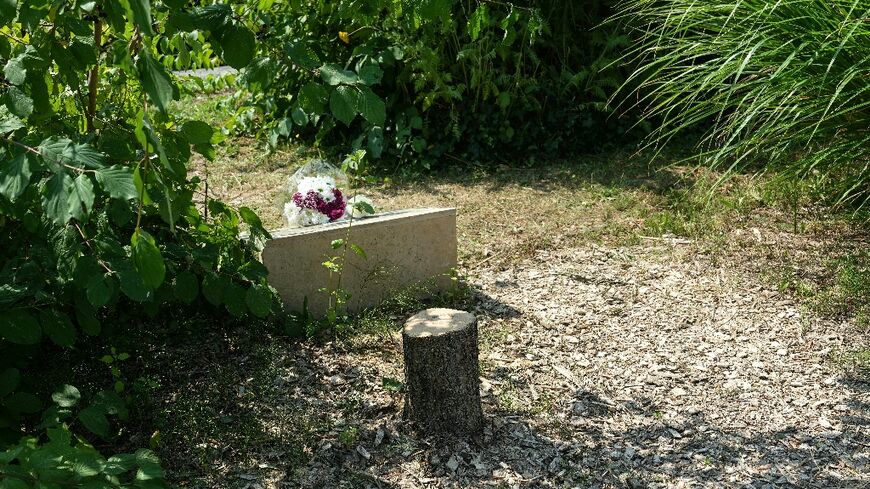 An olive tree, planted in 2011 in Ilan Halimi's memory, was cut down, probably with a chainsaw, in the northern Paris suburb of Epinay-sur-Seine