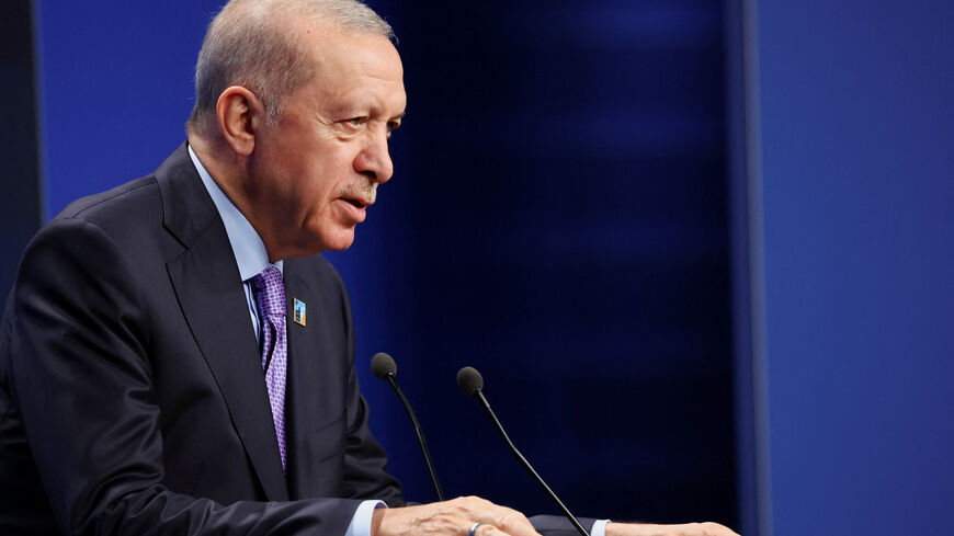 Turkey's President Tayyip Erdogan holds a press conference at the NATO summit in The Hague, Netherlands June 25, 2025. REUTERS/Piroschka Van De Wouw/File Photo