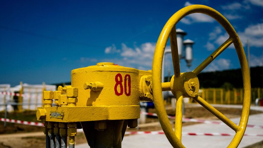 DIMITAR DILKOFF/AFP via Getty Images