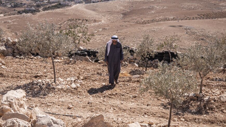 A Palestinian man walks in his olive field after an attack blamed on Israeli settlers in the occupied West Bank