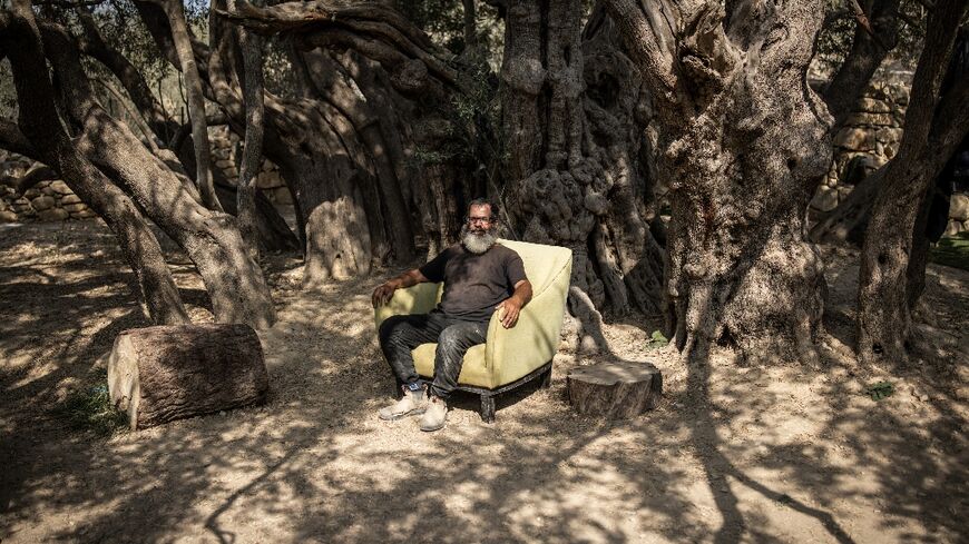 Italian and Japanese experts estimate the tree to be 3,000 to 5,500 years old