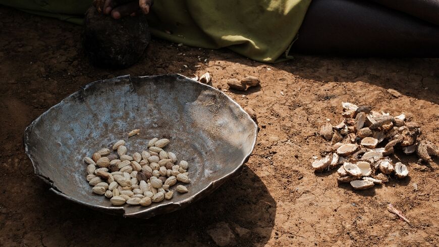 A woman sorts the fruit of the kudra plant to prepare a meal at a camp for displaced people in Kadugli
