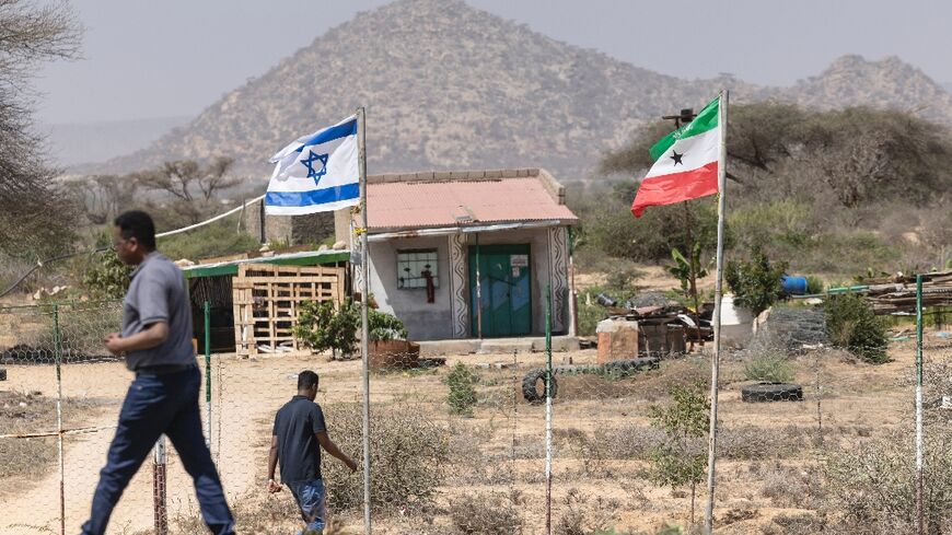 Israeli flags fly at a farm in Somaliland