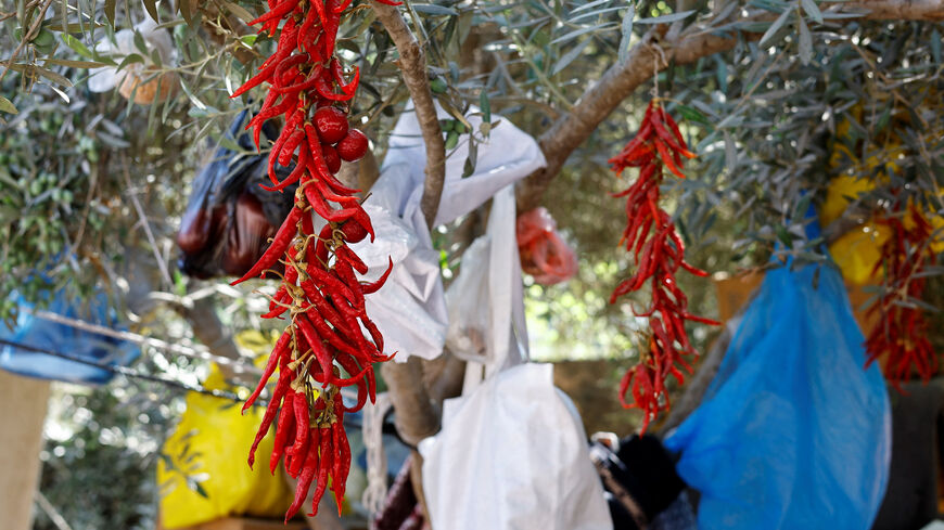 Seeds are displayed at the Qarara Seed Bank in Deir Al-Balah, in the central Gaza Strip, August 27, 2026. REUTERS/Mahmoud Issa
