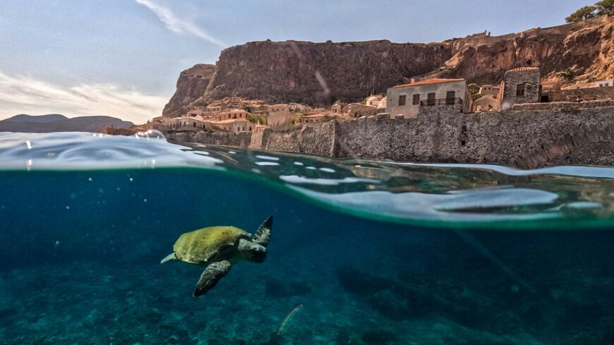 Nations are falling behind on their joint goal to halt the destruction of nature by 2030