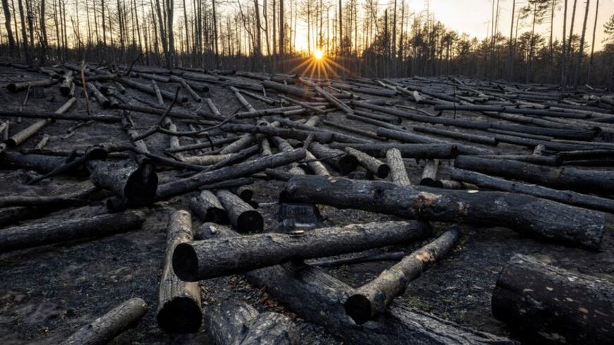 FILE PHOTO: Aftermath of a wildfire in Serbia