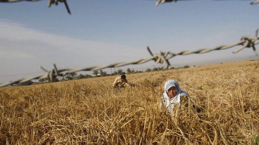 Palestinian farmers harvest wheat on a farm in Khan Younis on the southern Gaza Strip May 6, 2012. REUTERS/Ibraheem Abu Mustafa (GAZA - Tags: SOCIETY AGRICULTURE BUSINESS)