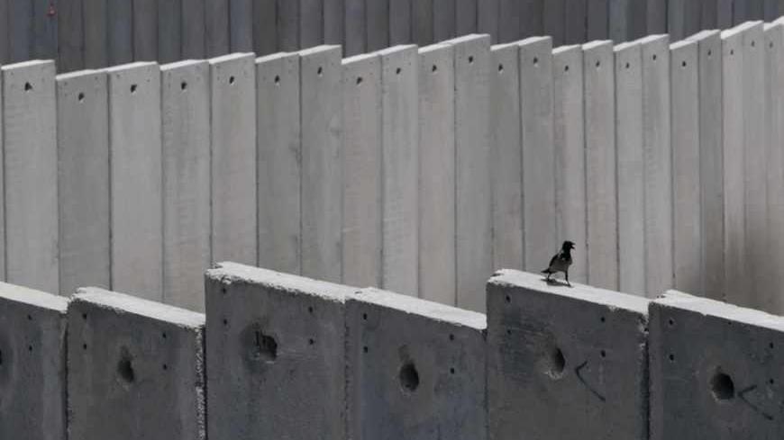 A crow is seen on top of a section of the controversial Israeli barrier next to the Shuafat refugee camp in the West Bank near Jerusalem May 25, 2011. Palestinians and Israelis alike saw little prospect of a fresh start to Middle East peace talks on Wednesday after Israeli Prime Minister Benjamin Netanyahu's keynote speech to Congress. REUTERS/Baz Ratner (JERUSALEM - Tags: POLITICS) - RTR2MVSB