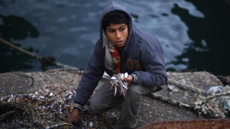 A Palestinian boy collects fish at Gaza Seaport in Gaza City December 13, 2012. The horizon of the claustrophobic Gaza Strip stretches further out to sea after a bloody eight-day battle last month and its main market gleams with extra supplies of locally-caught fish. In a low-key move it has yet to acknowledge, Israel moved a naval blockade it imposed in 2009 back to six miles (10 km) from the Palestinian enclave's coast from three on Nov 23, two days after signing an Egypt-brokered truce with Gaza's Hamas 