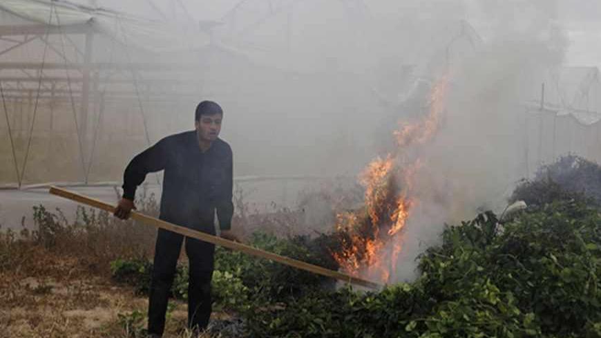 A Palestinian farmer burns mints at a farm in Khan Younis in the southern Gaza Strip April 13, 2013. Palestinian farmers in Gaza began destroying three tonnes of herbs on Saturday, saying a prolonged closure of the crossing into Israel meant the plants were no longer fit for export to Europe. REUTERS/Ibraheem Abu Mustafa (GAZA - Tags: POLITICS AGRICULTURE BUSINESS FOOD) - RTXYK04