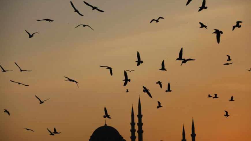 Seagulls fly over Golden Horn as the sun sets over the Ottoman-era Suleymaniye Mosque in Istanbul November 26, 2012. Tayyip Erdogan has described his third term as Turkish prime minister as that of a "master", borrowing from the celebrated Ottoman architect Sinan and the last stage of his storied career after apprenticeship and graduation. Now, entering a second decade at the helm of a country revelling in its regional might, Erdogan wants to leave his own mark on the cityscape with what will be Turkey's bi