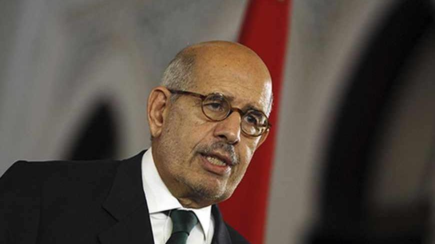 Egypt's interim Vice President Mohamed ElBaradei speaks during a news conference with European Union foreign policy chief Catherine Ashton (unseen) at El-Thadiya presidential palace in Cairo July 30, 2013. Egypt's rulers allowed Ashton to meet deposed President Mohamed Mursi, the first time an outsider was given access to him since the army overthrew him and jailed him a month ago, but ruled out involving him in any negotiations. She revealed little about what she called a "friendly, open and very frank" tw