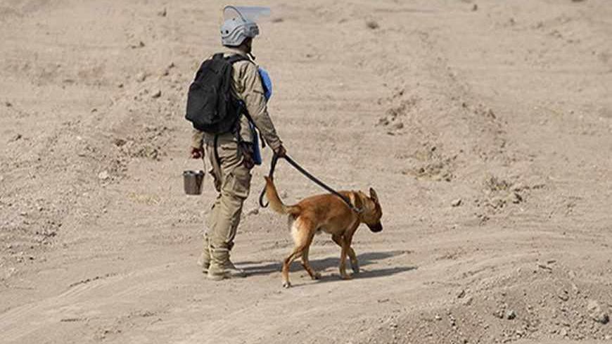 A member of the Iraqi Mine and Unexploded Ordnance Clearance Organization (IMCO) works with a sniffer dog to find mines in the Shatt-al-Arab district, in Iraq's southern city of Basra, November 6, 2012. Decades of war have left Iraq with one of the worst mine problems in the world, according to UNICEF, with around 20 million anti-personnel mines and more than 50 million cluster bombs believed to be left over in border areas and southern oilfields. Iraq's Environment Ministry says there are 25 million landmi