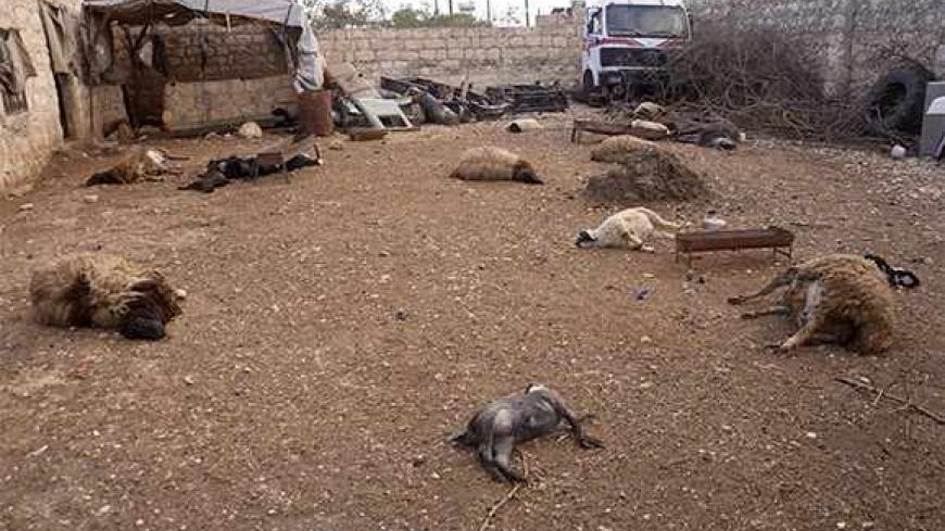 Animal carcasses lie on the ground, killed by what residents said was a chemical weapon attack on Tuesday, in Khan al-Assal area near the northern city of Aleppo, March 23, 2013. The United Nations said on Thursday it would investigate Syria's allegations that rebel forces used chemical weapons in an attack near Aleppo, but Western countries sought a probe of all claims concerning the use of such banned arms. The deaths of 26 people in that rocket attack became the focus of competing claims on Wednesday fro