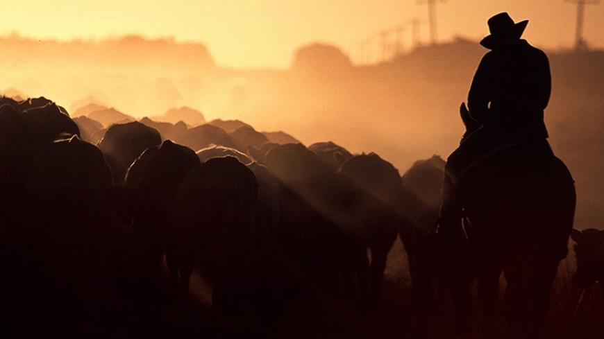 A farmer rides his horse as he herds his cattle towards stockyards near the outback Queensland town of Aramac, west of Brisbane, in this May 22, 2002 file picture. Hot on the back of winning lower tariffs for beef exports from its largest buyer Japan, Australia is setting its sights on winning another major prize for its beef industry by persuading China to open its market to live cattle sales. China's growing middle class seems to have an insatiable hunger for beef, but with limited domestic stock, beef im