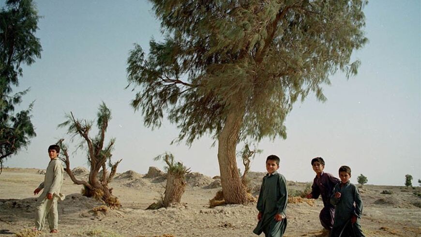 Young Iranian boys play under a tree beside a well outside Zabol in
south eastern Iran, July 17, 2001. Iran's Sistan-Baluchistan province
is suffering from a third consecutive year of drought which the United
Nations says has cost the country $2.6 billion in dammages this year,
up from $1.7 billion last year. Local officials say without rain
remaining water sources will dry up by December.

CJF - RTRKVRC