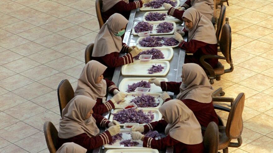 MASHHAD, IRAN:  TO GO WITH AFP STORY "IRAN-FARM-ECONOMY-LUXURY-SAFFRON" Iranian workers sort and clean saffron filaments during the saffron processing at Iran's Novin Saffron factory in Touss industrial zone of Mashhad, northeast of Iran, 01 November 2006. Despite Iran's status as the undisputed heavyweight champion of the saffron world, it has yet to realize the full economic potential of the 3,000 year-old industry and faces challenges to hold on to its rampant market share. MORE IMAGES AVAILABLE ON IMAGE