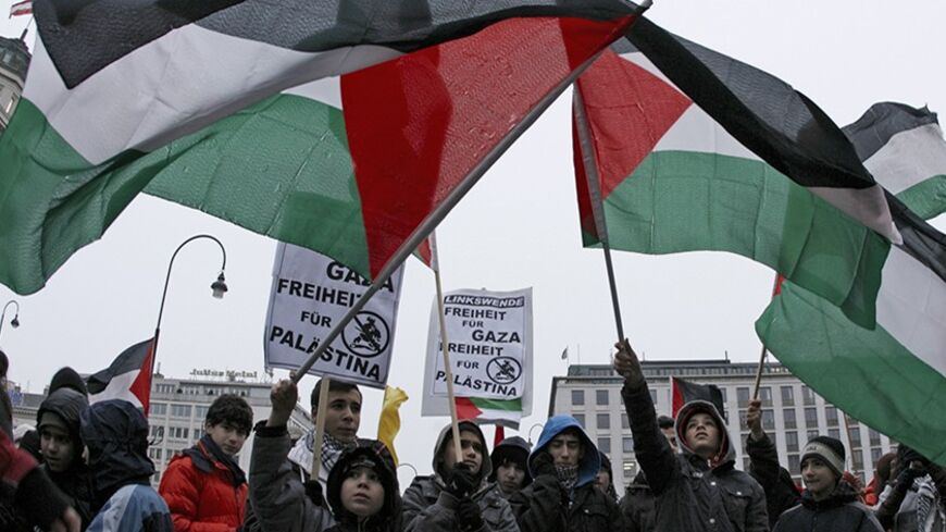 Demonstrators wave flags and hold up posters to protest Israel's military actions in Gaza, at a rally in Vienna January 5, 2009. The posters read "Freedom for Gaza - Freedom for Palestine".  REUTERS/Heinz-Peter Bader  (AUSTRIA) - RTR232I9