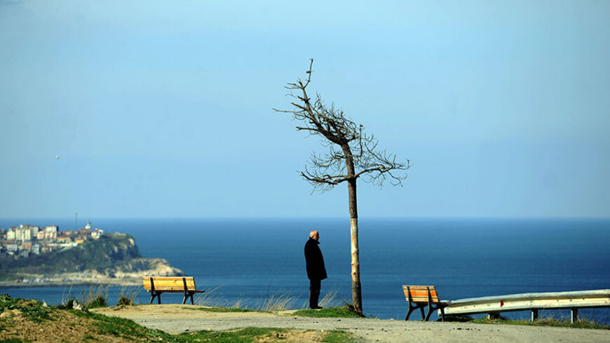 TO GO WITH AFP STORY BY PHILIPPE ALFROY 
A man, standing next to a tree with the Black Sea in the background, looks towards the area where Istanbul's third airport will be build, on February 20, 2014, north of Istanbul. This airport, already considered the "world's largest", is a symbol of major construction developments led by Turkey's Prime Minister and former Mayor Recep Tayyip Erdogan. AFP PHOTO / OZAN KOSE