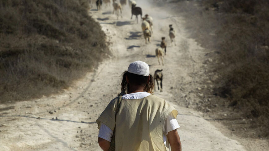 A Jewish settler herds sheep in the unauthorized outpost of Havat Gilad, south of the West Bank city of Nablus September 13, 2011. A diplomatic showdown looms at the United Nations this month when Palestinian President Mahmoud Abbas is expected to seek an upgrade of the Palestinians' U.N. status. The Palestinians hope to establish a state in the Gaza Strip and the Israeli-occupied West Bank , where Israeli Prime Minister Benjamin Netanyahu has refused to freeze Jewish settlement-building despite the Obama a
