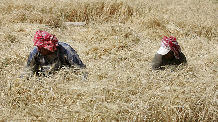 Workers harvest barley in Amman June 6, 2009. REUTERS/Muhammad Hamed (JORDAN AGRICULTURE) - RTR24CJO