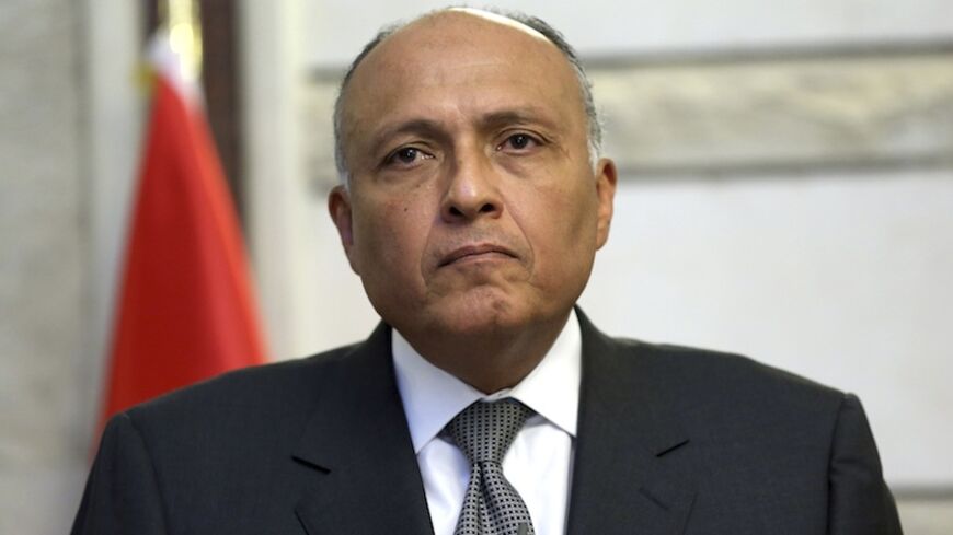 Egypt's Foreign Minister Sameh Shukri attends a joint news conference with Iraq's Deputy Prime Minister for Energy Hussain al-Shahristani in Baghdad, July 11, 2014. REUTERS/Hadi Mizban/Pool  (IRAQ - Tags: POLITICS HEADSHOT) - RTR3Y6LZ