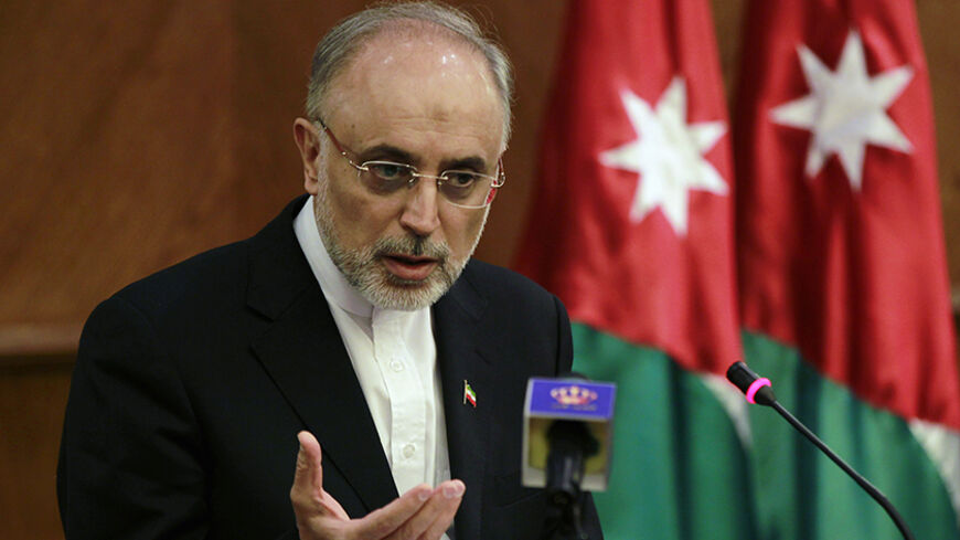 Iran's Foreign Minister Ali Akbar Salehi speaks during his joint news conference with his Jordanian counterpart Nasser Judeh in Amman May 7, 2013. REUTERS/Muhammad Hamed (JORDAN - Tags: POLITICS) - RTXZDG5