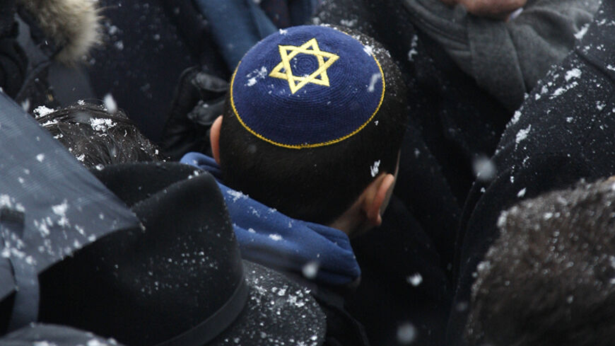Pro-Israel demonstrators take part in a demonstration called by the Representative Council of Jewish Institutions in France (CRIF) in front of the European Parliament in Strasbourg January 14, 2009. REUTERS/Vincent Kessler  (FRANCE) - RTR23DLX