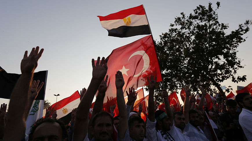 Supporters of Egypt's deposed Islamist President Mohamed Mursi and the Muslim Brotherhood wave Turkish and Egyptian flags during a rally in protest against the recent violence in Egypt, outside of the Eminonu New mosque in Istanbul August 17, 2013. REUTERS/Murad Sezer (TURKEY  - Tags: POLITICS CIVIL UNREST) - RTX12P99
